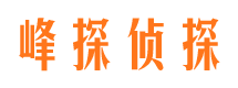 宁都市场调查